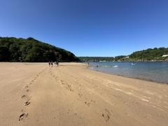 Golden sands of Mill Bay